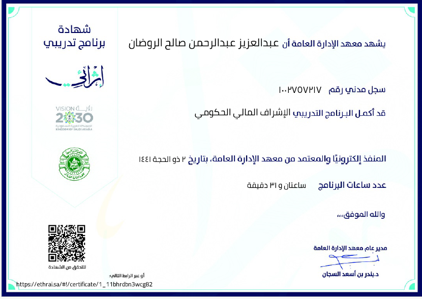 الإشراف المالي الحكومي